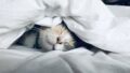 athlete sleep