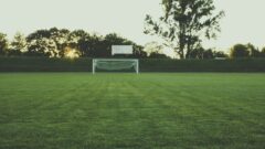 pro sports sponsorship roi