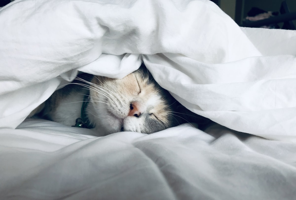 睡眠と休息が生産性に与える影響