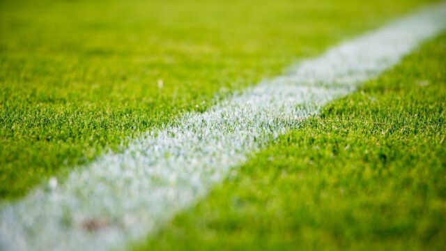 sports fan marketing business