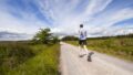 walking habit corporate effects