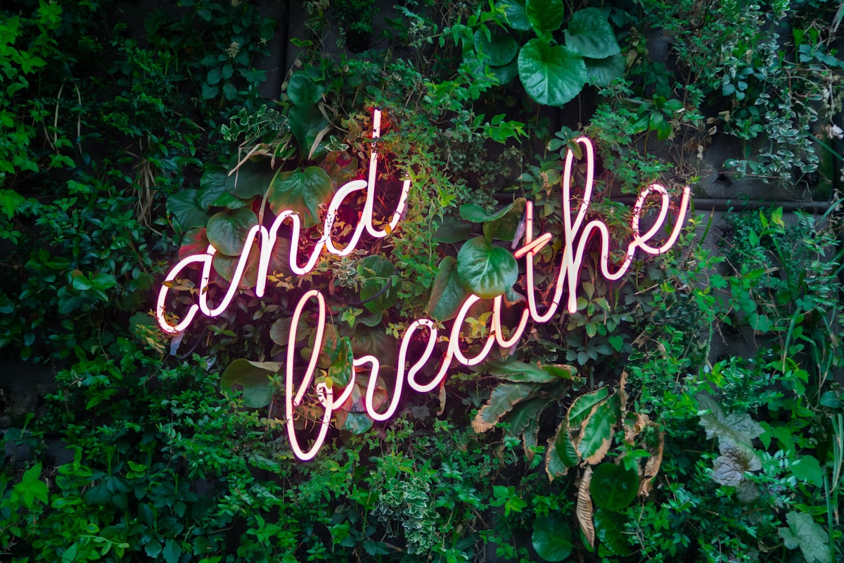 breathing-techniques-stress-reduction-sportsのイメージ