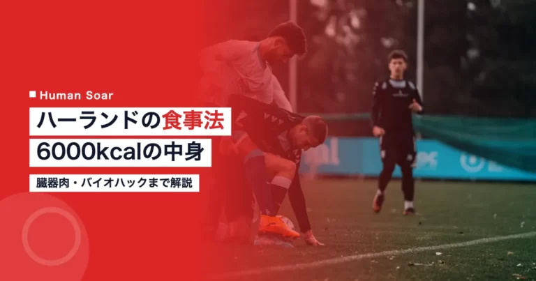 ハーランドの食事法全解説|6000kcal・臓器肉・バイオハック 11 ハーランドの食事法全解説|6000kcal・臓器肉・バイオハック