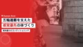 horigome yuto conditioning