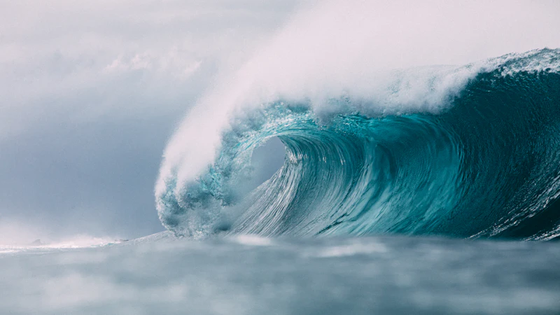 katsukura-naomichi-adaptive-surf