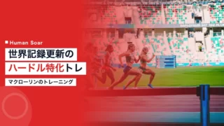 mclaughlin training