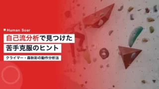 mori akisa self biomechanics