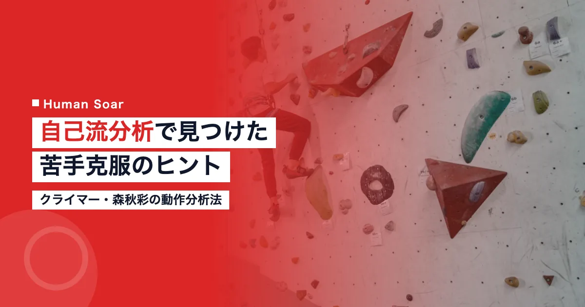 森秋彩 スポーツバイオメカニクス 動作分析 スポーツクライミング トレーニング