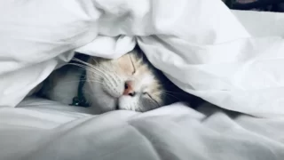 ronaldo sleep