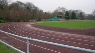sanibrawn