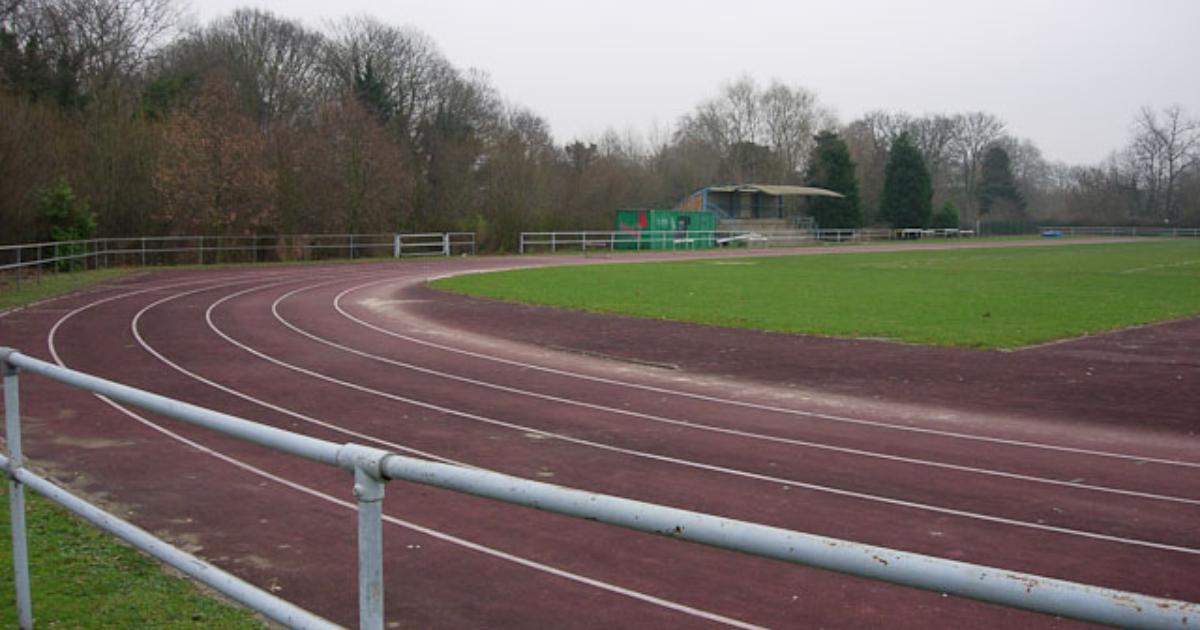 sanibrawn