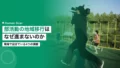 部活動の地域移行はなぜ進まないのか|現場の課題 15 school club community transition challenges