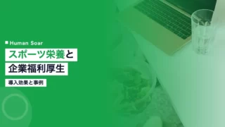 sports company guide