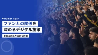 sports fan engagement improvement