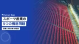 sports industry challenges solutions 1