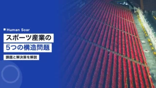 sports industry challenges solutions 1