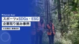 sports sdgs esg corporate
