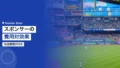 sports sponsor cost effectiveness