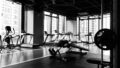 スポーツ人材育成プログラム完全ガイド2026 8 sports talent development program
