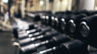 sports training guide