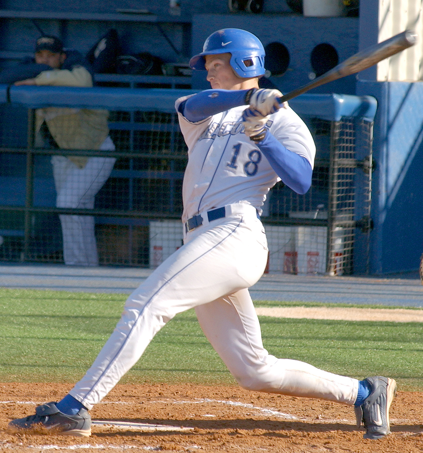 suzuki baseball swing