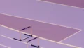 田中佑美が語るアキレス腱の痛みと戦った世界選手権への挑戦の記録 14 tanaka yumi achilles comeback