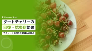 tart cherry recovery anti inflammatory supplement