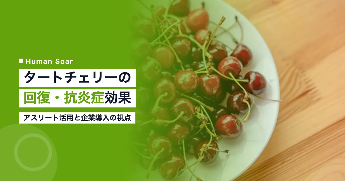 タートチェリーサプリメントの回復・抗炎症効果を解説する画像