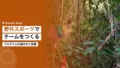 team building outdoor sports corporate