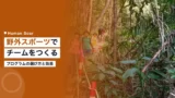 team building outdoor sports corporate