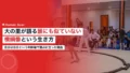 大の里が語る誰にも似ていない横綱像 18 onosato yokozuna philosophy