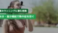 ランニングの熱中症対策|今日から実践できる予防法とグッズ 15 running heatstroke prevention tips 1