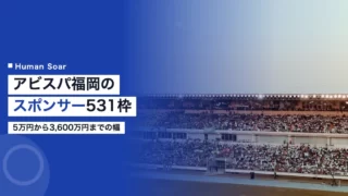 avispa fukuoka sponsor