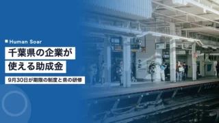 chiba subsidy training v2