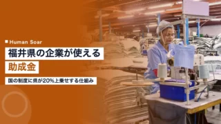 fukui subsidy training