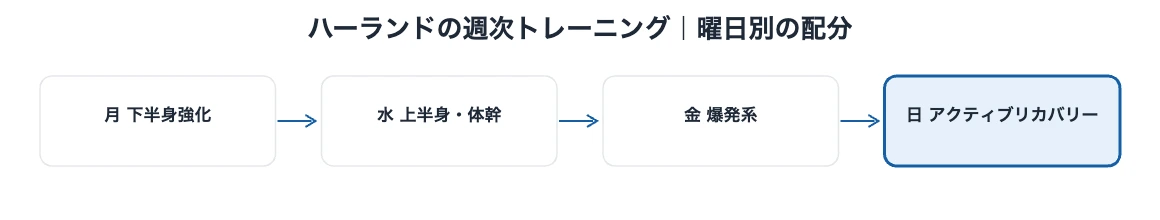 ハーランドの週次トレーニングメニューを曜日別に整理した図解