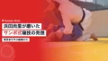 hamada shori training sambo