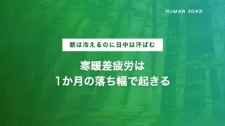 kandansa hirou autumn condition care 2026