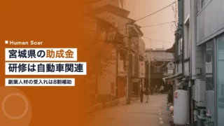 miyagi subsidy training 2026