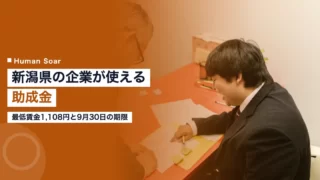 niigata subsidy training