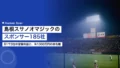 島根スサノオマジックのスポンサー185社|B1で3位の営業利益と、年1000万円の命名権 22 shimane susanoo magic sponsor