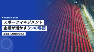 sports management corporate guide