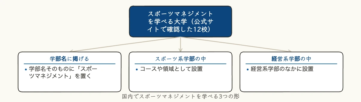 スポーツマネジメントを学べる大学の3つの設置形態を示したツリー図解