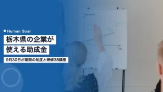tochigi subsidy window v2