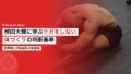 世界陸上代表・栁田大輝に学ぶケガをしない体づくりの判断基準 22 yanagita hiroki conditioning