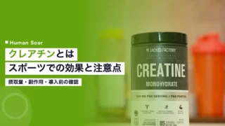 creatine supplement guide