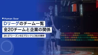 d league teams