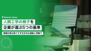 ergonomic office chair