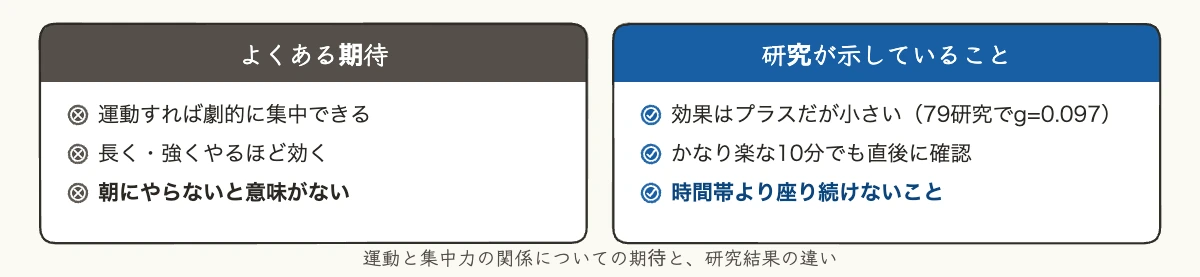 運動と集中力の関係｜よくある期待と研究結果の比較図