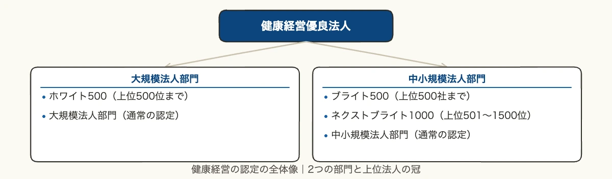 健康経営の認定とは|企業が知る費用・認定率と申請の時期 10 健康経営の認定の全体像|大規模法人部門と中小規模法人部門、ホワイト500・ブライト500・ネクストブライト1000の関係